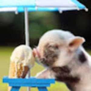 Meet your Posher, Jeff